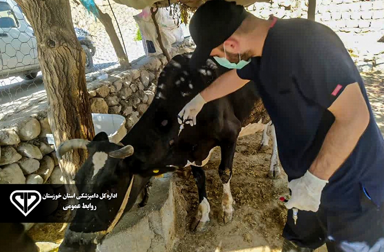 اتمام حجم موظفی تست سل در شهرستان صیدون 